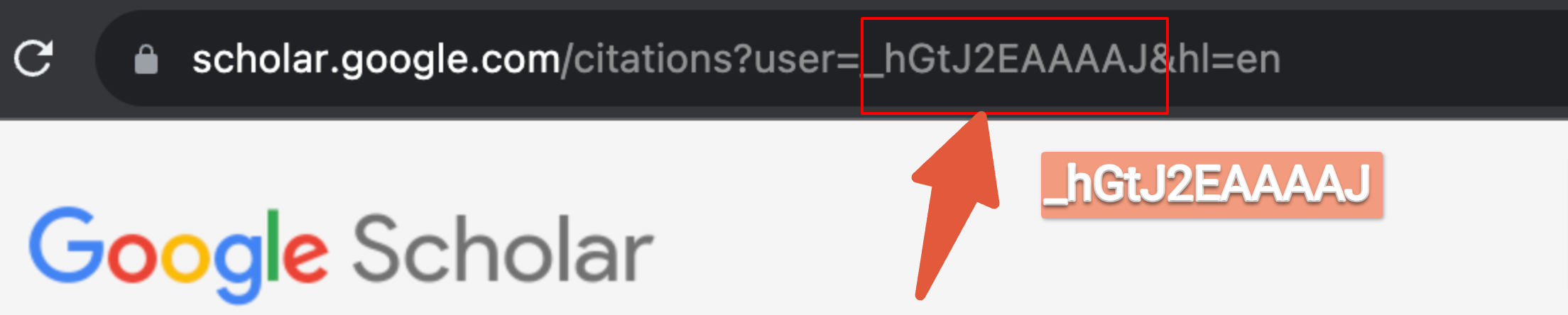 Google Scholar ID Example